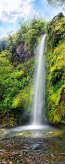 18m high Dawson Falls waterfall in the middle of a tropical rainforest