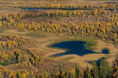 Autumn landscape
