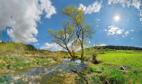 Spring at the idyllic brook and biotope Morsbach
