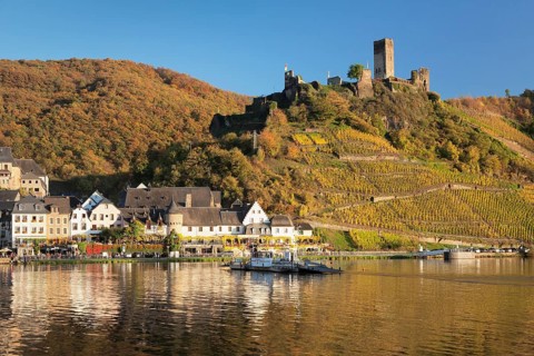 Beilstein and ruins of Metternich Castle with vineyard