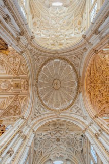 Vaulted ceiling decorated with stucco and gold