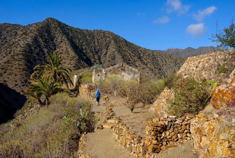 Woman hiking on trail