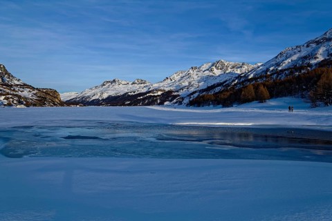 View over frozen Lake Silsersee to the Bernina Group with peaks Piz Rosatsch