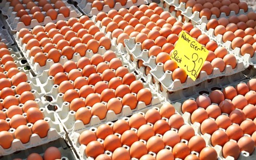 Fresh brown eggs in egg cartons with price tag at a market stall