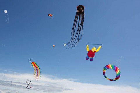 Octopus figur and other figures as kites