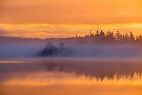 Dawn