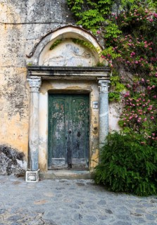 Weathered entrance door with climbing roses