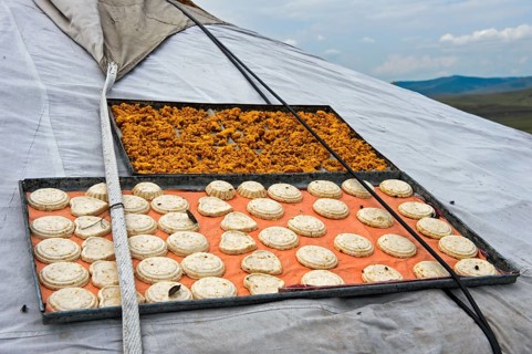 Traditional Aaruul or Mongolian quark cheese