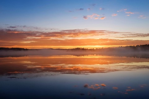 Dawn