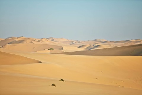 Sand dunes near Lange Wand