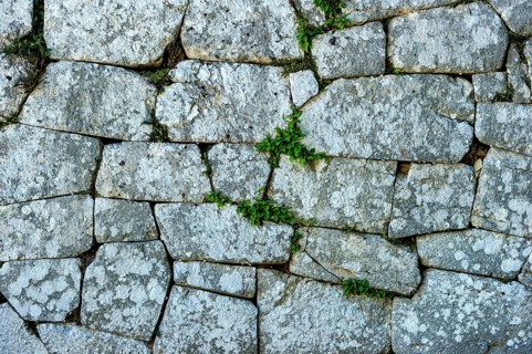 Background picture