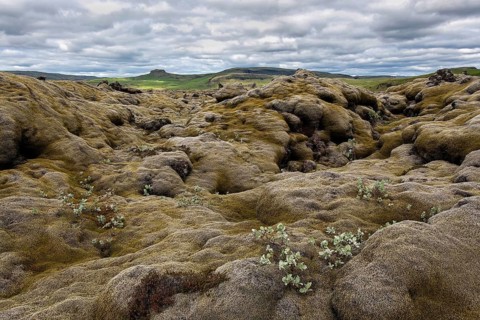 Volcanic landscape