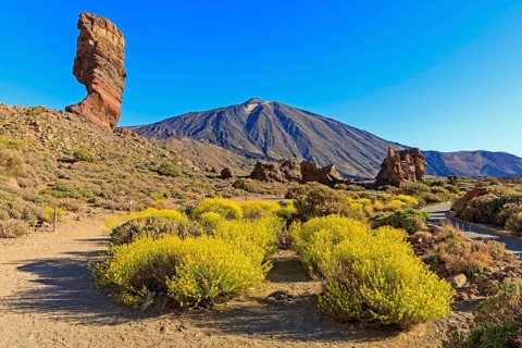 Rock formation Los Roques de Garcia in front of volcano Pico del Teide