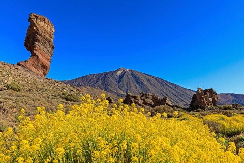 Rock formation Los Roques de Garcia in front of volcano Pico del Teide