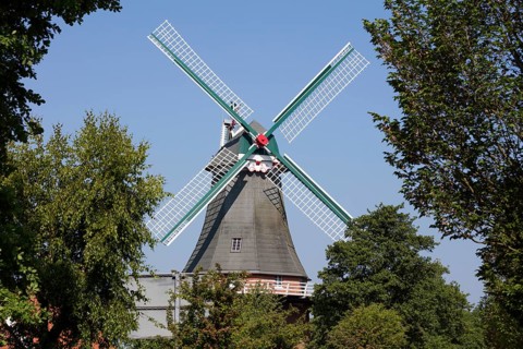 Gallery Dutchman