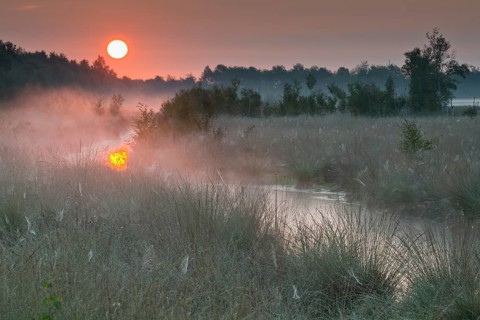 Sunrise in the moor
