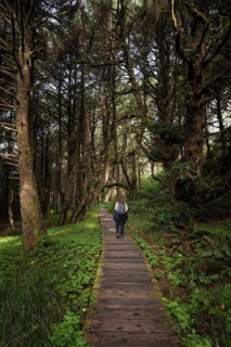 Tourist on her way through rainforest