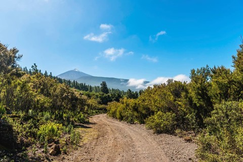 Gravel road