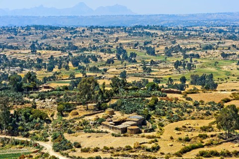 View of fields