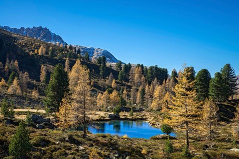 Berglisee in the Samnaungruppe