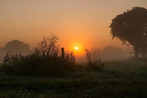 Morning fog over meadow landscape at sunrise
