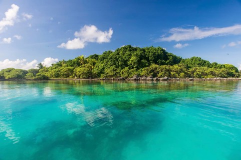 Clear waters on Bird Island