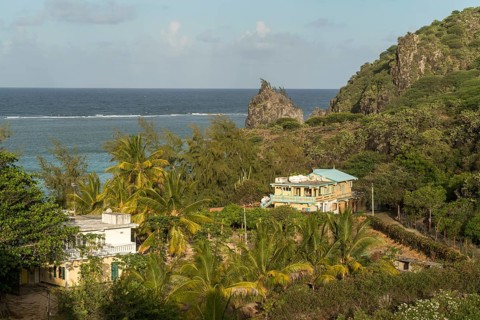 Coast covered with palm trees and prickly pears