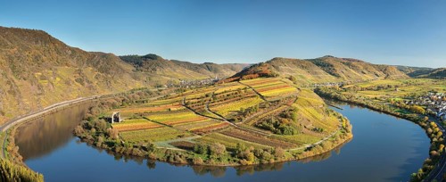 Moselschleife in autumn