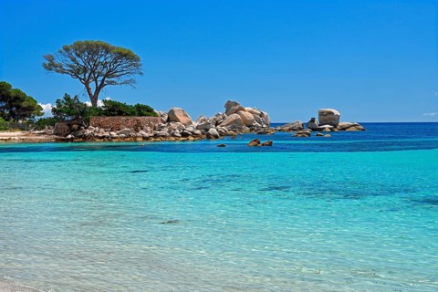 Palombaggia beach with turquoise green sea