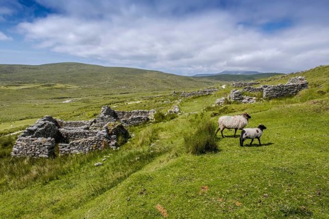 Dilapidated stone walls of a former settlement