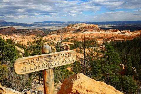 Sign Bryce Canyon Wilderness Area at the start of the Fairyland Trail in the Amphitheatre