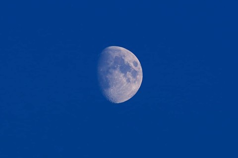 Increasing moon in the blue evening sky