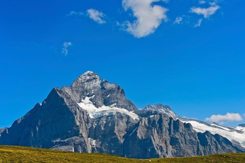 In the hiking area Grindelwald First