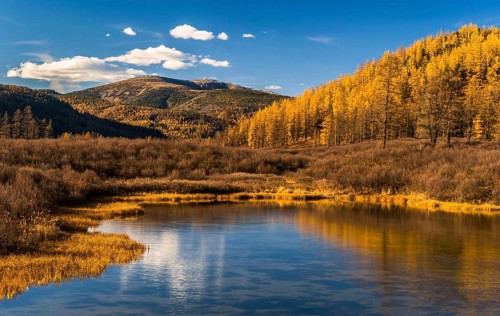Tuul river with landscape in autumn colors and Burkhan Khaldun Mountain