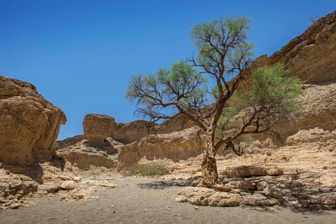 Sesriem Canyon