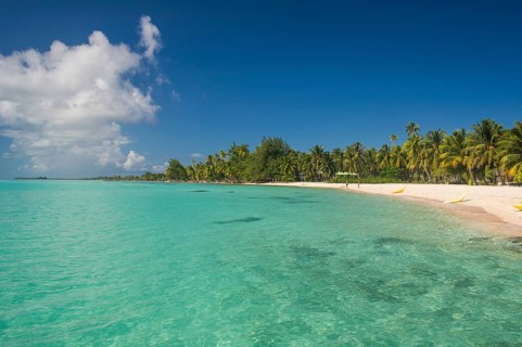 Palm fringed white sand beach in the turquoise waters of Tikehau