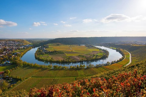 Neckar loop near Mundelsheim