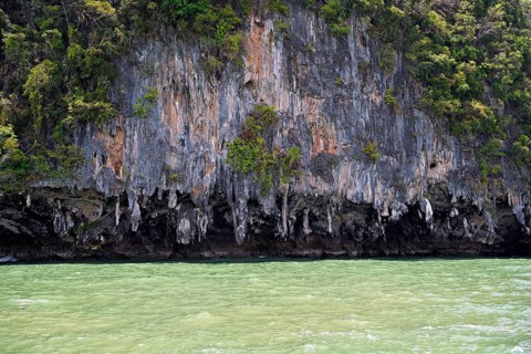 Eroded overgrown limestone rocks in Phang Nga Bay