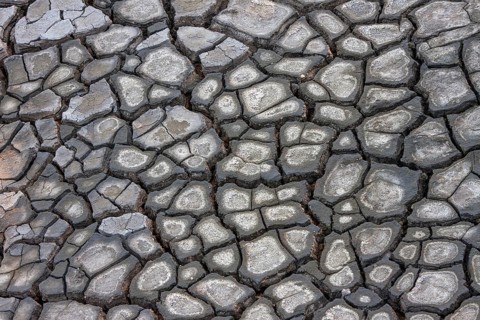 Ruptured soil in the Solfatar field at Namafjall volcano