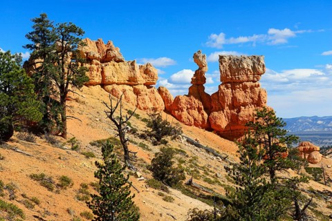 Fairyland Trail at the Amphitheatre