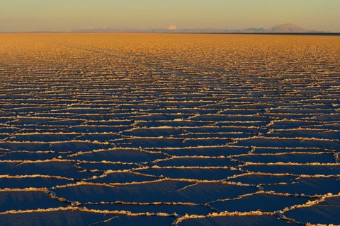 Honeycomb structure on the salt lake at sunrise