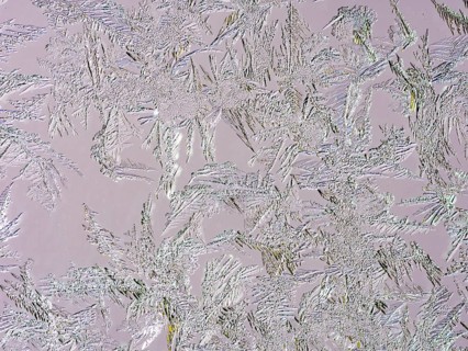Ice crystals at a window