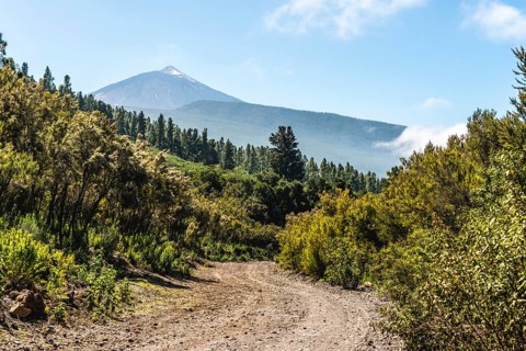 Gravel road