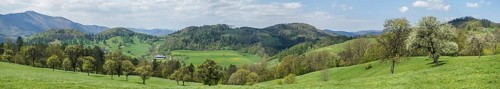Panoramic view in spring
