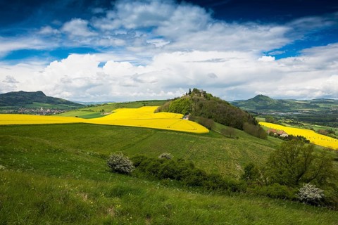 Blooming rape fields and Hegau volcano Magdeberg with castle ruin