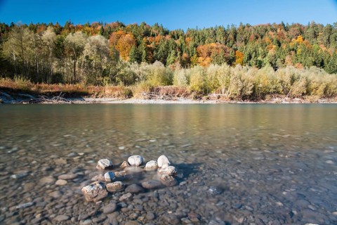 The river Lech with autumnal forest near the Ziegelwiesen