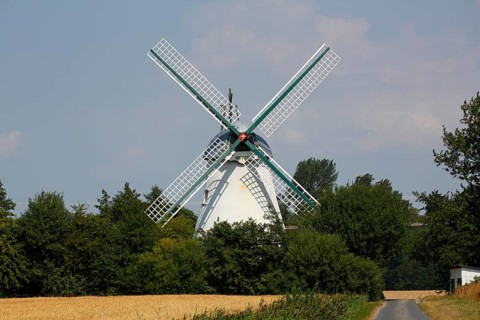 Windmill Betty
