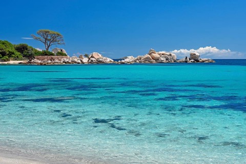 Palombaggia beach with turquoise green sea and rock formations