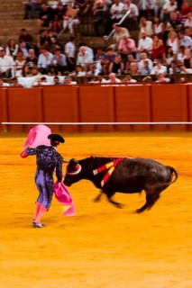 Racing bull with matador