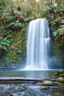 Beauchamp Falls in the rainforest